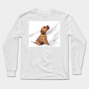 Miniature Pinscher puppy, 1 months old Long Sleeve T-Shirt